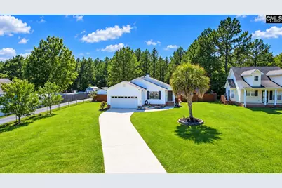 539 Old Bush River Road, Chapin, SC 29036 - Photo 1