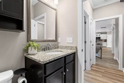 220 Indigo Hills Drive, Chapin, SC 29036 - Photo 19