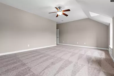 220 Indigo Hills Drive, Chapin, SC 29036 - Photo 41