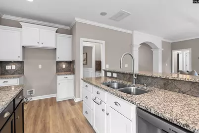 220 Indigo Hills Drive, Chapin, SC 29036 - Photo 9