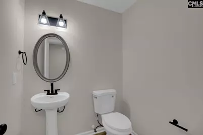 31 Pipestove Court, Irmo, SC 29063 - Photo 17