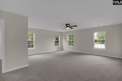 31 Pipestove Court, Irmo, SC 29063 - Photo 21