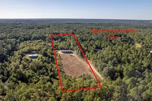 438 Sweet Pea Ln, Swansea, SC 29160 - Photo 15