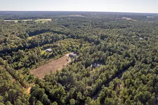 438 Sweet Pea Ln, Swansea, SC 29160 - Photo 23