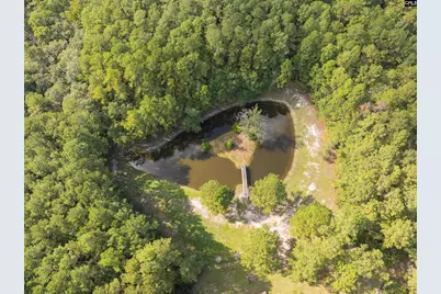 583 Stokes Road, Walterboro, SC 29488 - Photo 55
