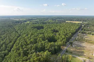 583 Stokes Rd, Walterboro, SC 29488 - Photo 63