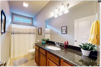 211 Bronze Drive, Lexington, SC 29072 - Photo 31