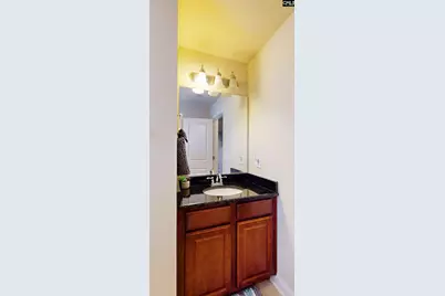 211 Bronze Drive, Lexington, SC 29072 - Photo 25