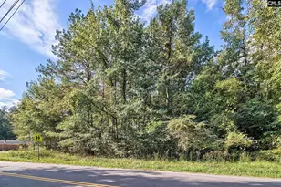 0 E/S Sumpter Rd, Hopkins, SC 29061 - Photo 1