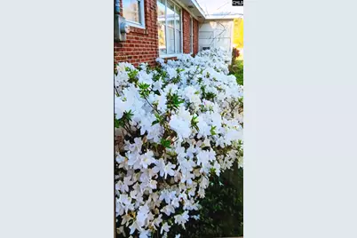 1515 Rushmore Road, Columbia, SC 29210 - Photo 57
