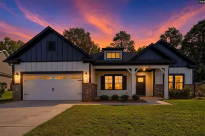 256 Murray Falls Lane, Chapin, SC 29036 - Photo 1