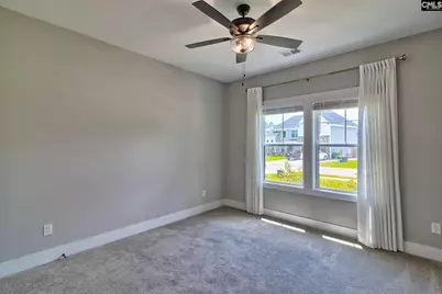 256 Murray Falls Lane, Chapin, SC 29036 - Photo 45