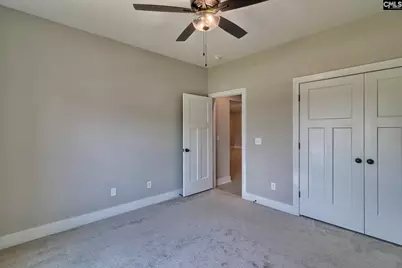 256 Murray Falls Lane, Chapin, SC 29036 - Photo 47
