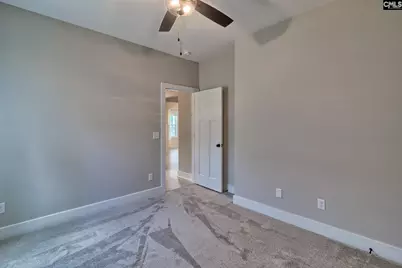 256 Murray Falls Lane, Chapin, SC 29036 - Photo 51
