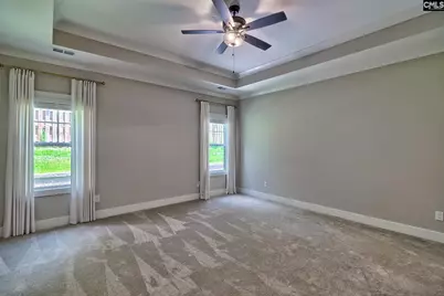 256 Murray Falls Lane, Chapin, SC 29036 - Photo 35