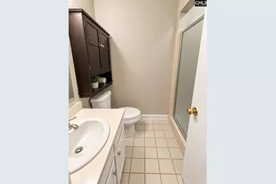 106 Darian Drive, Lexington, SC 29073 - Photo 13