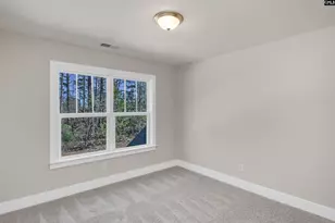 111 Greengarden Dr, Chapin, SC 29036 - Photo 45