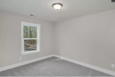 111 Greengarden Drive, Chapin, SC 29036 - Photo 49