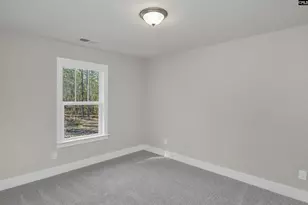 111 Greengarden Dr, Chapin, SC 29036 - Photo 49