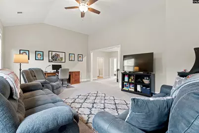 331 Springbrook Way, Chapin, SC 29036 - Photo 25
