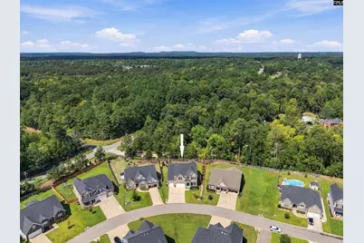 331 Springbrook Way, Chapin, SC 29036 - Photo 49