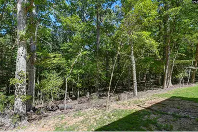 1009 Shadywood Lane, Irmo, SC 29063 - Photo 15