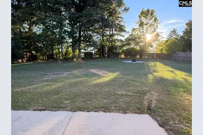 23 Lacebark Lane, Elgin, SC 29045 - Photo 43
