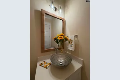 109 Pebble Stone Drive, Lexington, SC 29072 - Photo 65