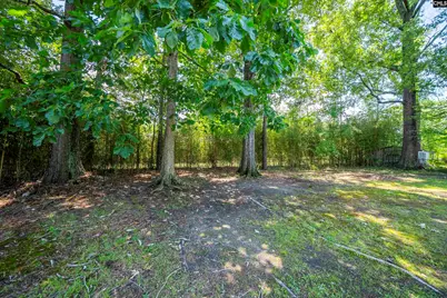 2126 Woodtrail Drive, Columbia, SC 29210 - Photo 29