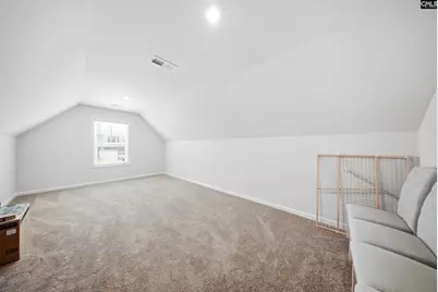 445 Dolomite Court, Chapin, SC 29036 - Photo 19