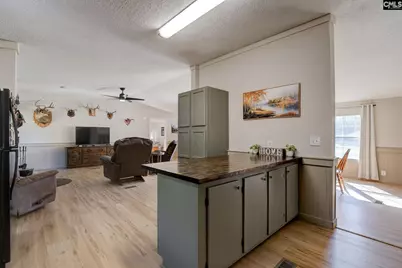 209 College Street W, Bethune, SC 29009 - Photo 21