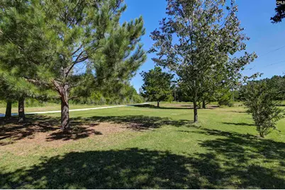 235 Peachtree Extension, Gilbert, SC 29054 - Photo 5