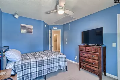 108 Turkey Ridge Drive, Chapin, SC 29036 - Photo 33