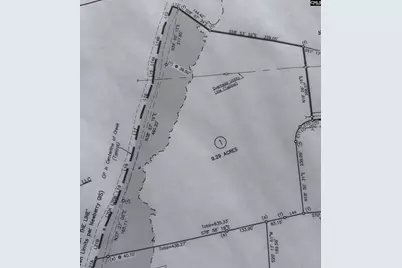 000 Crims Creek Trail #Lot 1, Pomaria, SC 29126 - Photo 1