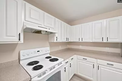 325 Hollingsworth Lane, Lexington, SC 29072 - Photo 9