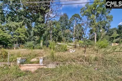 308 Nelson Street, Whitmire, SC 29178 - Photo 15