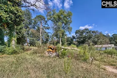 308 Nelson Street, Whitmire, SC 29178 - Photo 17
