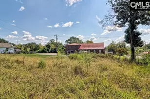 308 Nelson St, Whitmire, SC 29178 - Photo 19