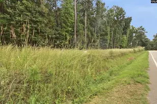 Tract A 215 Rd, Jenkinsville, SC 29065 - Photo 1