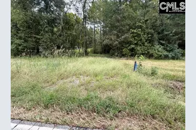 5485 Deadfall Road, Silverstreet, SC 29145 - Photo 15