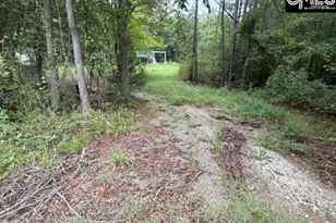 5485 Deadfall Rd, Silverstreet, SC 29145 - Photo 1