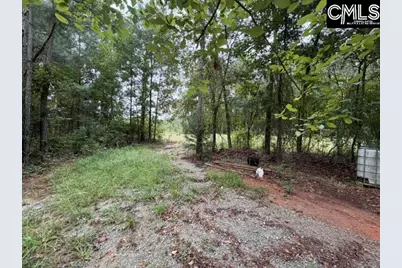 5485 Deadfall Road, Silverstreet, SC 29145 - Photo 3