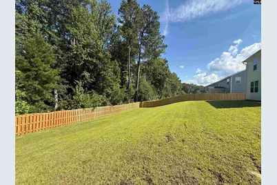 2482 Green Viper Loop, Blythewood, SC 29016 - Photo 47
