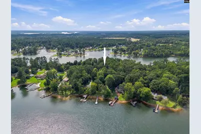 921 Sandbar Road, Chapin, SC 29036 - Photo 3