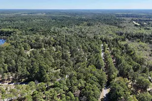 653 Holland Ln, Camden, SC 29020 - Photo 53