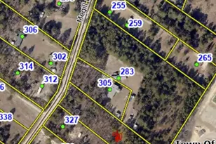 315 Megill Dr, Pelion, SC 29123 - Photo 1