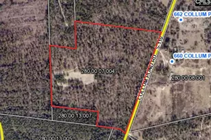 Collum Pond Rd, Wagener, SC 29164 - Photo 1