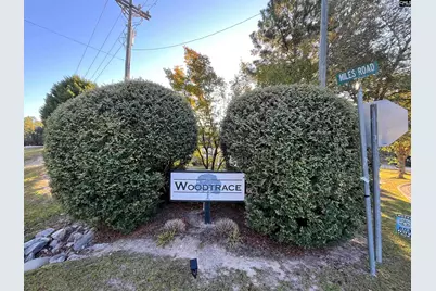 69 Elmwood Boulevard S, Elgin, SC 29045 - Photo 39