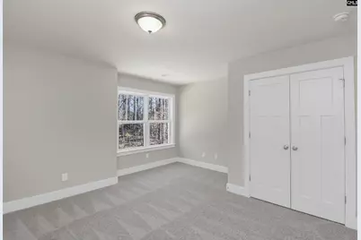 119 Greengarden Drive, Chapin, SC 29036 - Photo 45