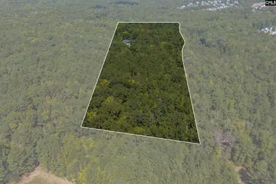 349 Turkey Farm Road, Blythewood, SC 29016 - Photo 43